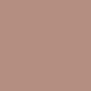 Duck Hunter - AS Colour Women's Relax Crew Design